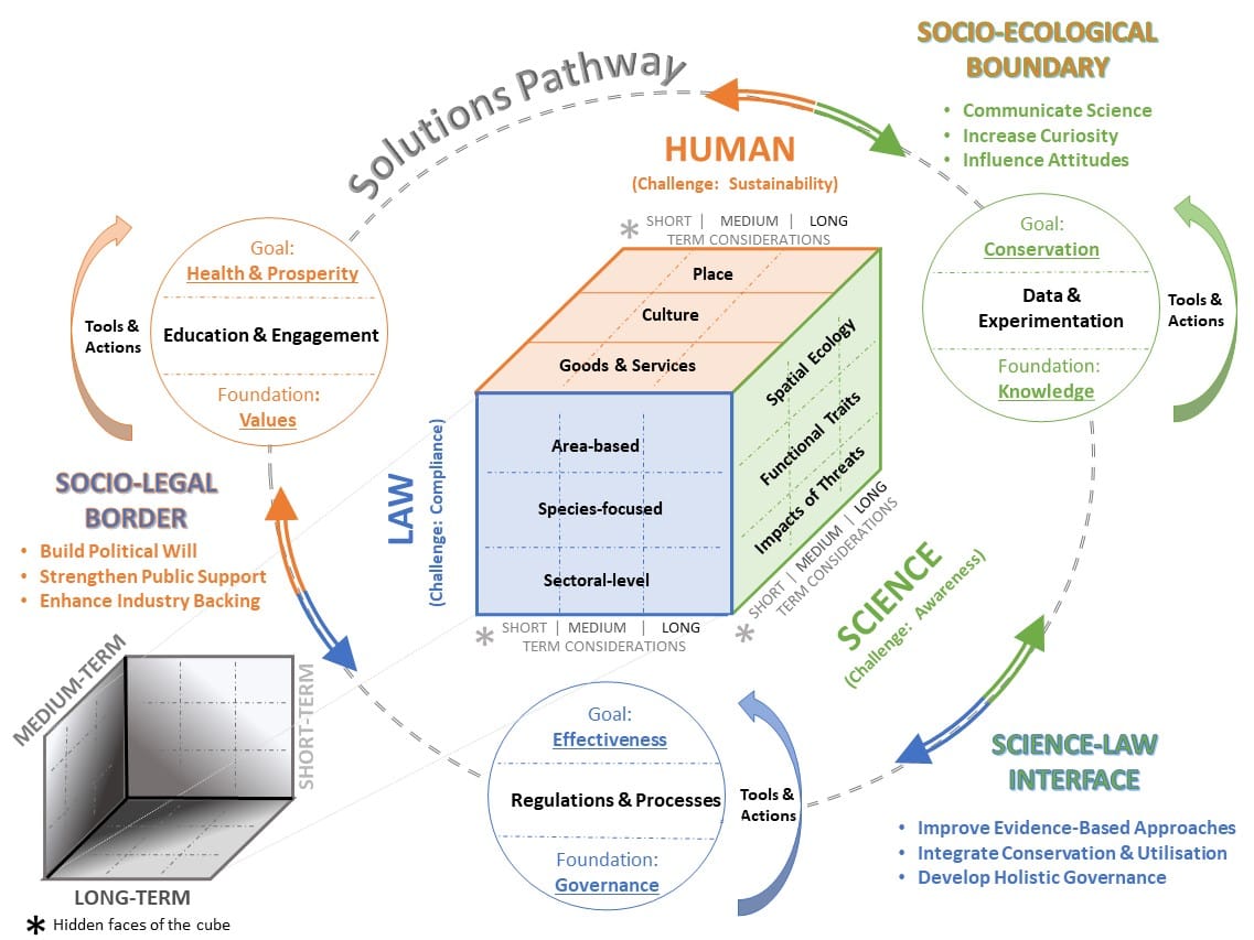 Biodiversity conservation lessons from a Rubik’s Cube