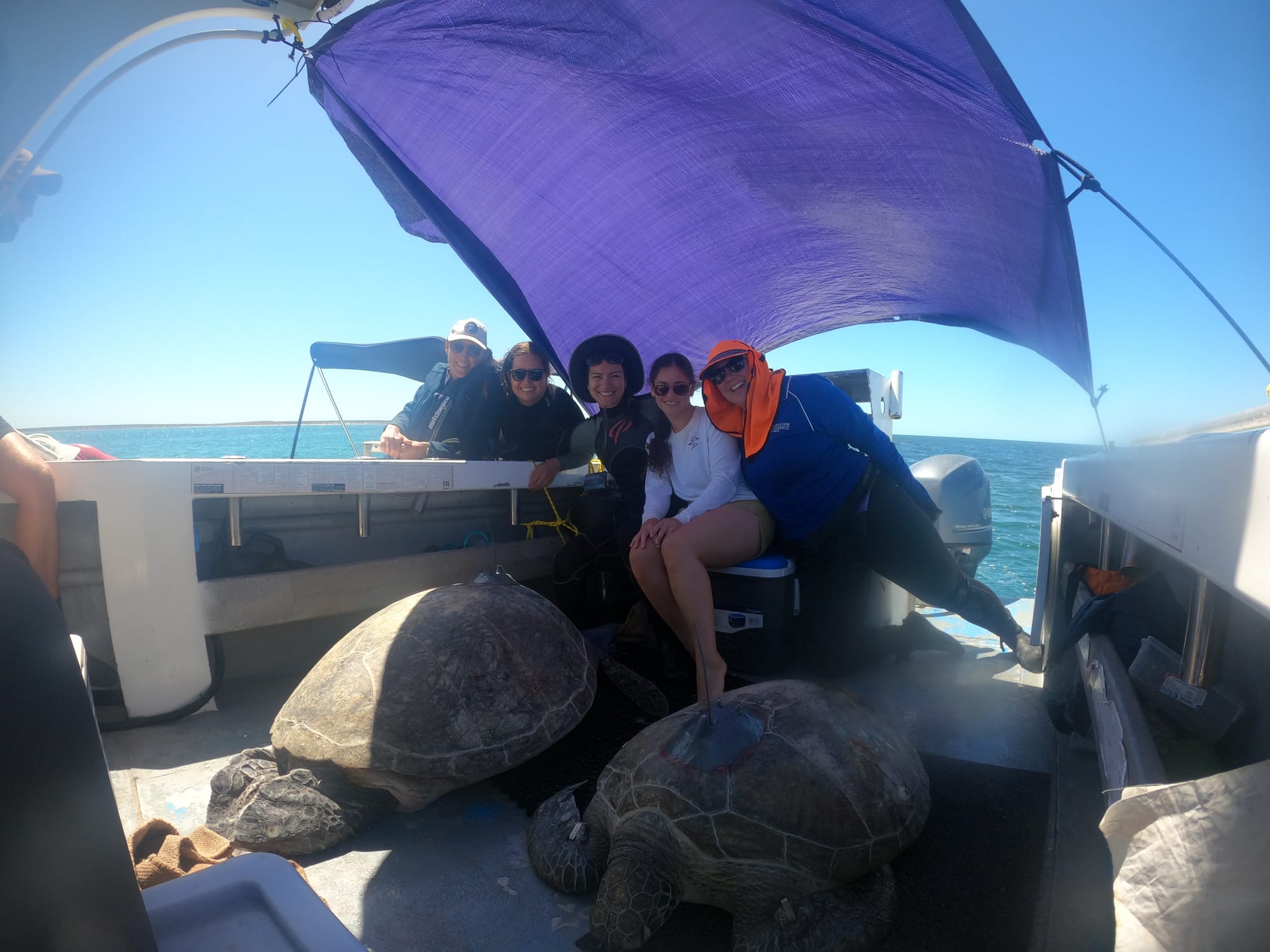 Celebrating our ladies in science for International Women's Day