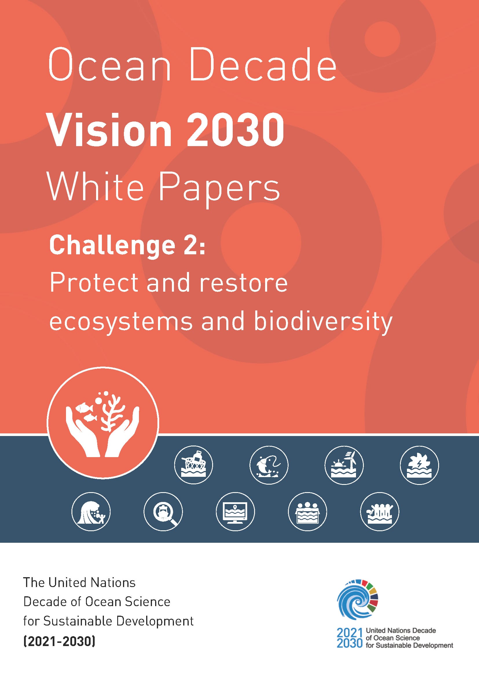 Oceans Decade Working Group 2 unveils "Vision 2030" in a white paper