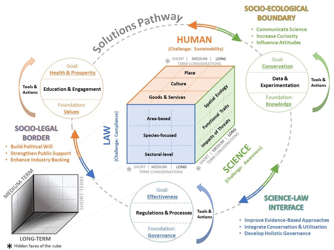 Biodiversity conservation lessons from a Rubik’s Cube