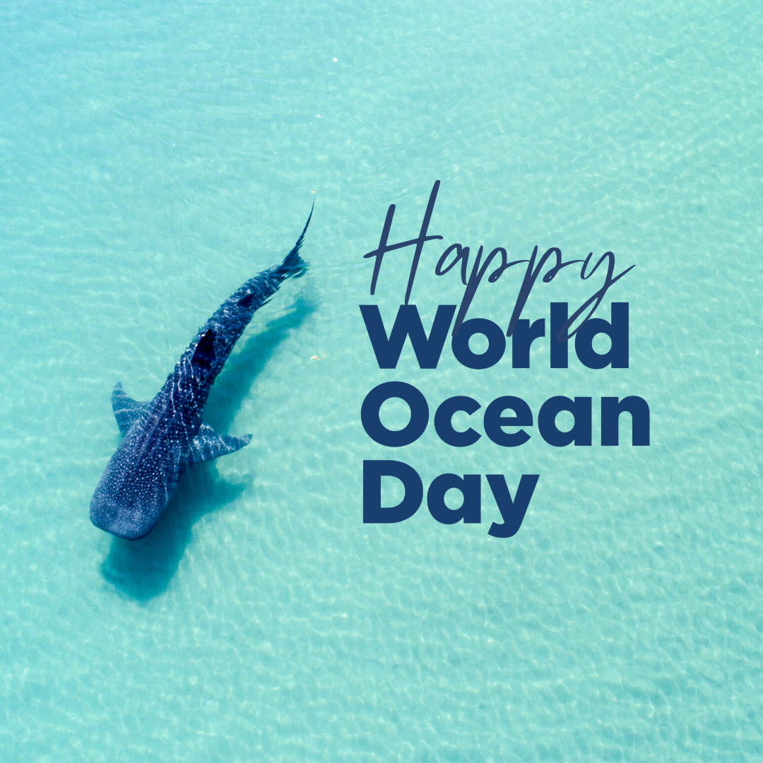 World Oceans Day 2025: Reflecting on a Year of Science, Collaboration and Impact