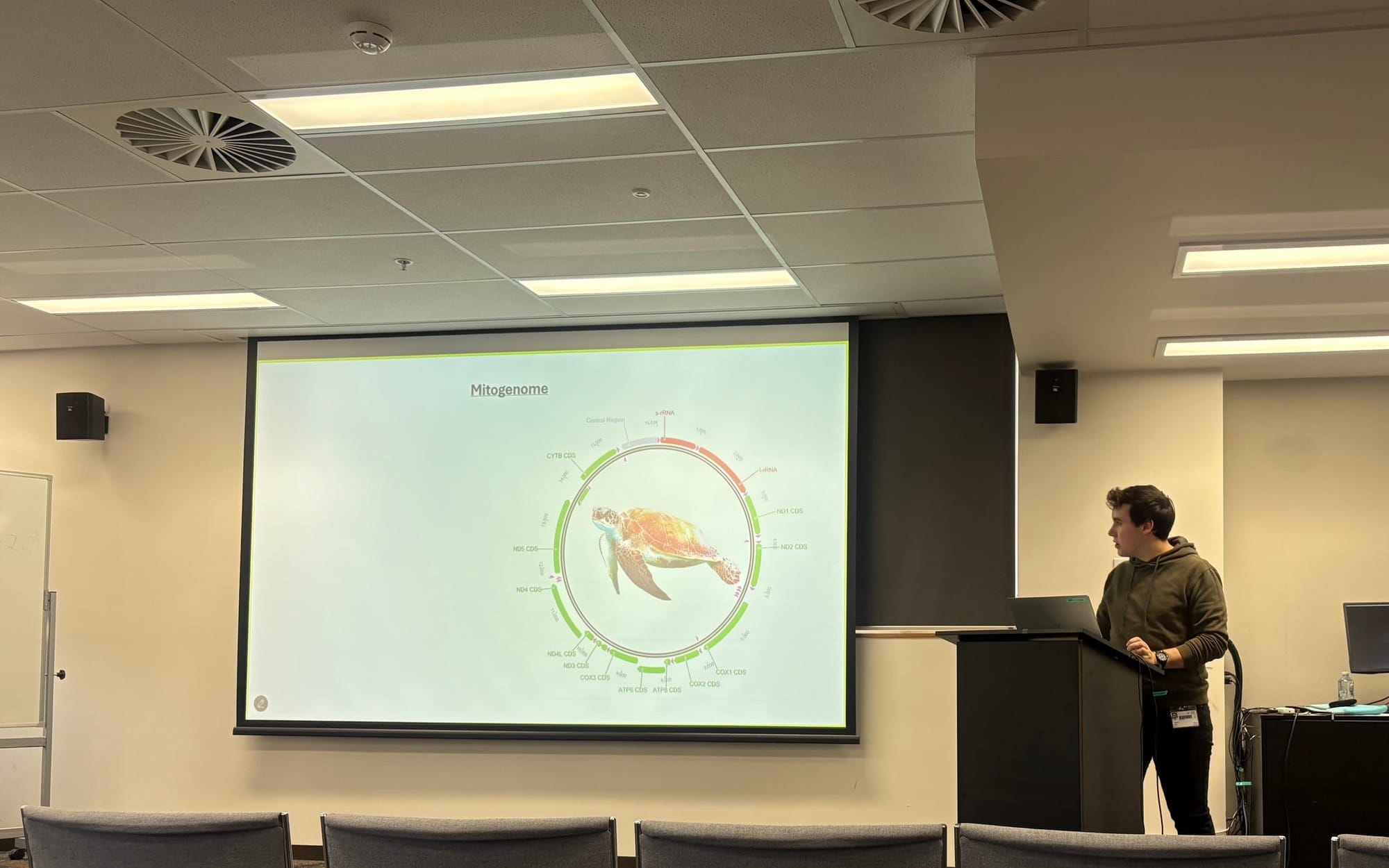 Uncovering Turtle Histories: Jaiden’s Honours Research in Shark Bay