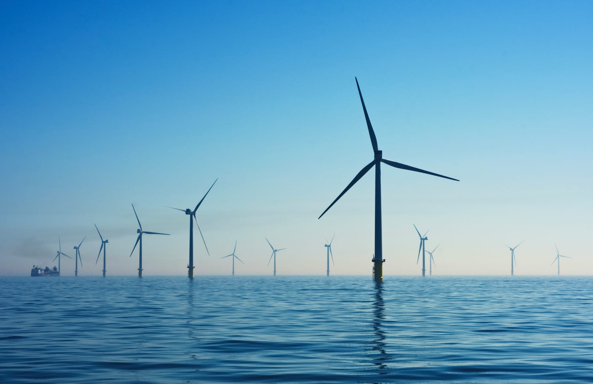 Offshore wind farm development in Australia and potential environmental impacts