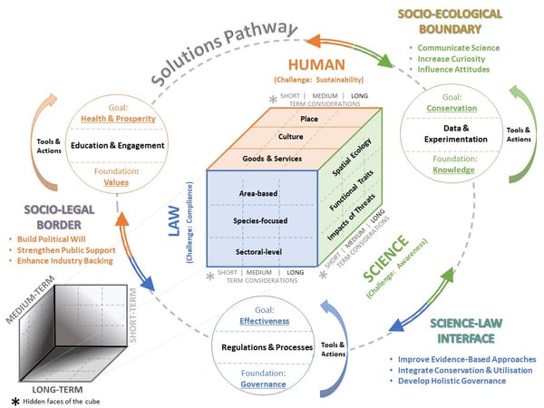 Biodiversity conservation lessons from a Rubik’s Cube