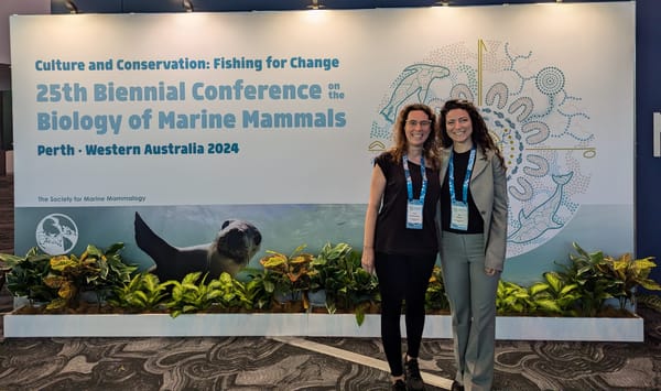 Sequeira Lab attends the 25th Biennial Conference on the Biology of Marine Mammals!