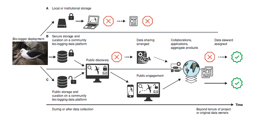 Newly published: Preserving bio-logging data for the future of wildlife