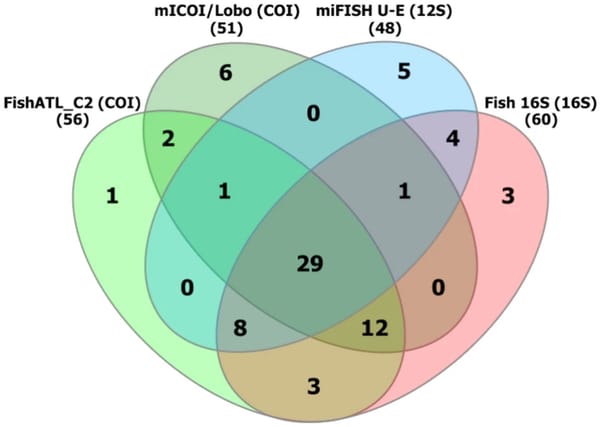 Publication on DNA metabarcoding use for fish species identification in ichthyoplankton
