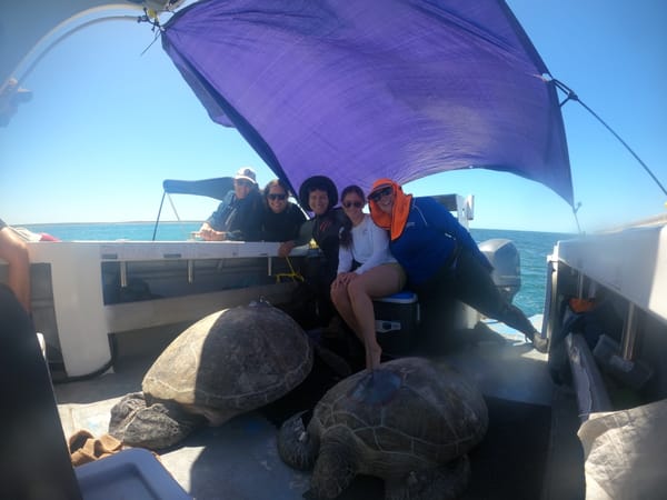 Celebrating our ladies in science for International Women's Day