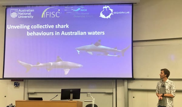Sequeira Lab members presented at the ANU Research School of Biology’s biannual conference!