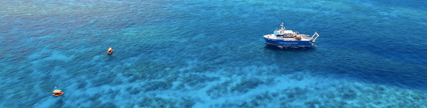 What’s next for the second round of fisheries subsidies agreement negotiations at the upcoming WTO conference?