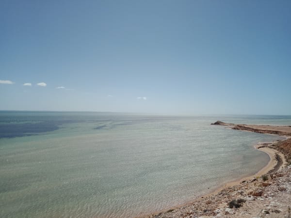A trip to Shark Bay kicked off our Gathaagudu Animal Tracking (GAT) Project