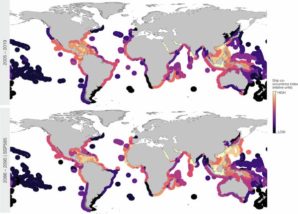New publication: Climate change may drive whale sharks into shipping lanes