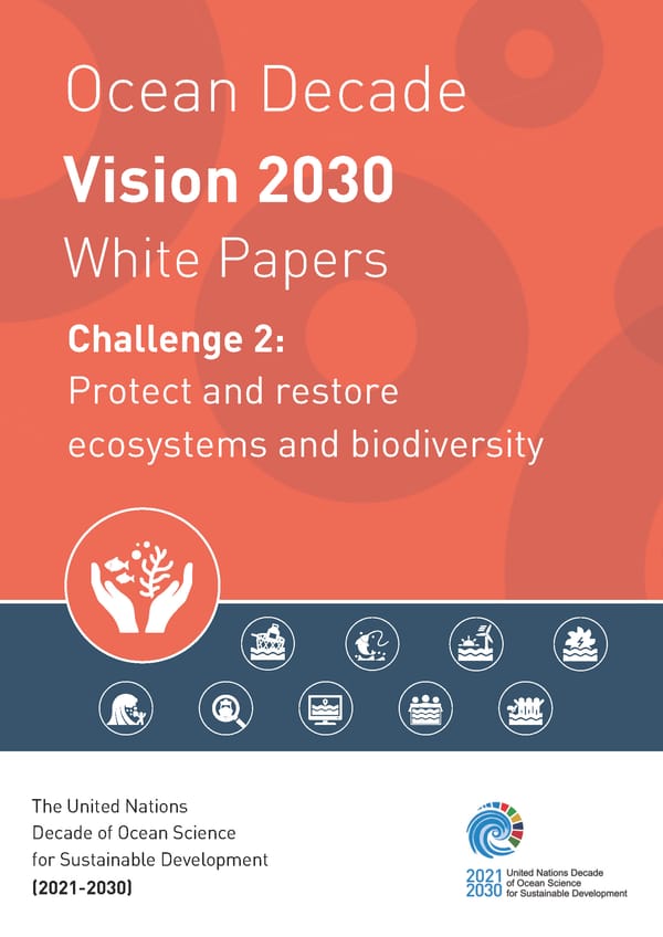Oceans Decade Working Group 2 unveils "Vision 2030" in a white paper