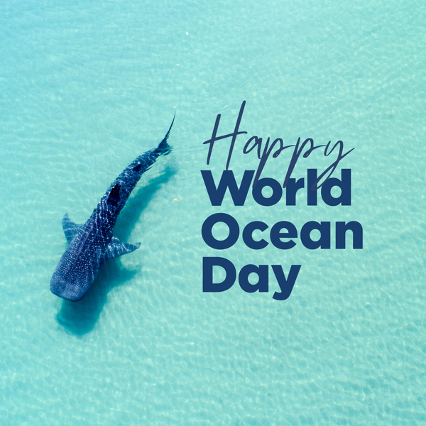 World Oceans Day 2025: Reflecting on a Year of Science, Collaboration and Impact