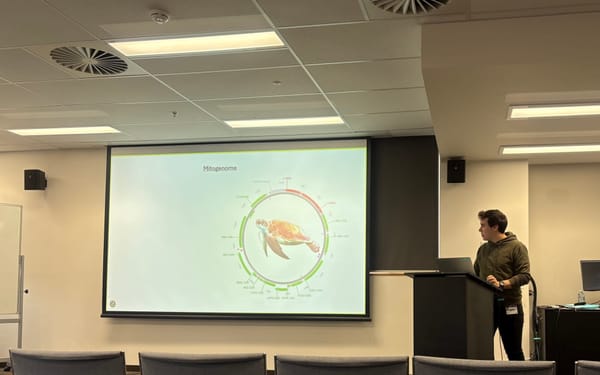 Uncovering Turtle Histories: Jaiden’s Honours Research in Shark Bay
