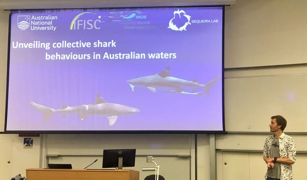 Sequeira Lab members presented at the ANU Research School of Biology’s biannual conference!