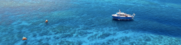 What’s next for the second round of fisheries subsidies agreement negotiations at the upcoming WTO conference?