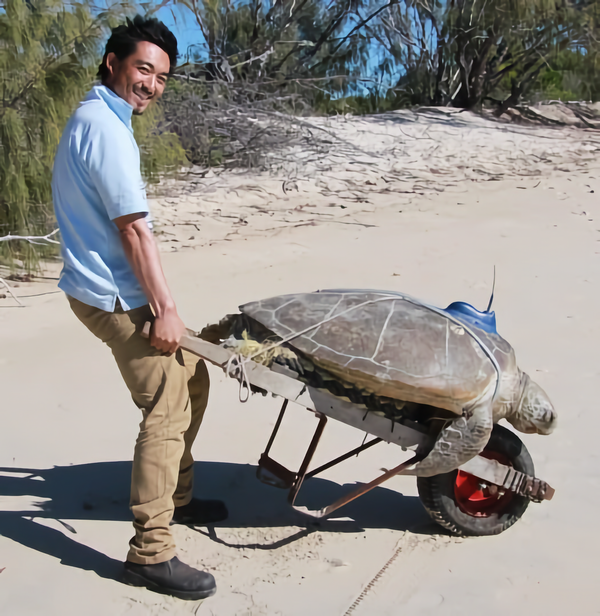 A new post-doc at Sequeira Lab