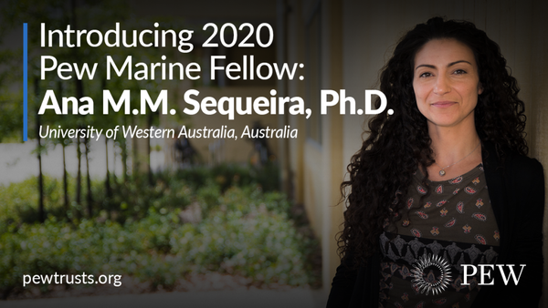 We are excited to announce Ana is a Pew Fellow 2020!