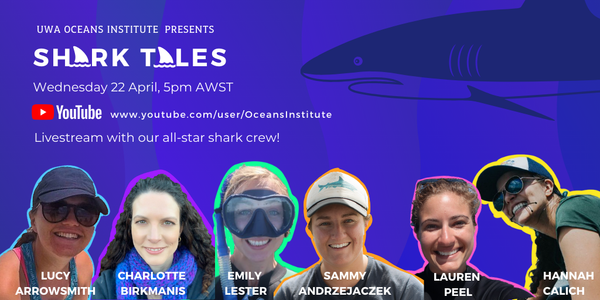 Join Sequeira Lab members in a ‘Shark Tales’ Livestream tomorrow!