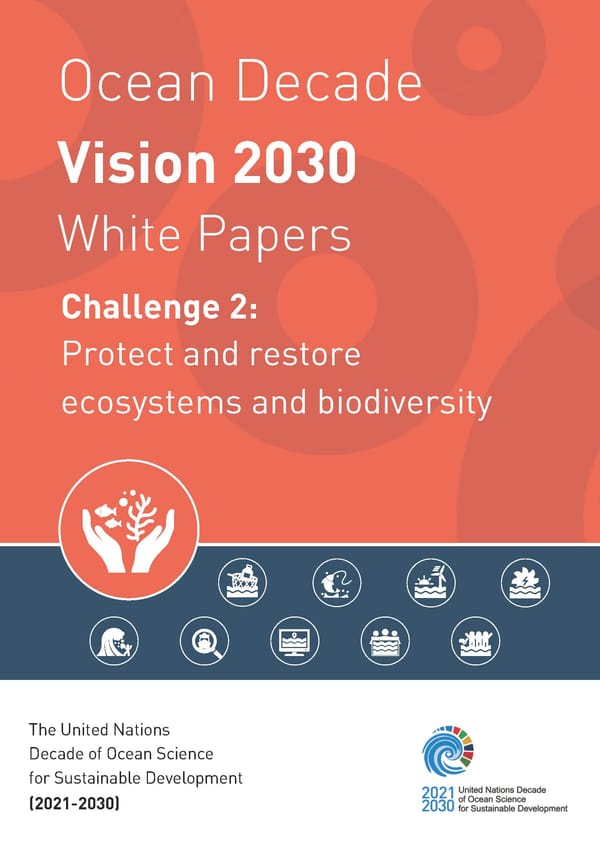 Oceans Decade Working Group 2 unveils "Vision 2030" in a white paper