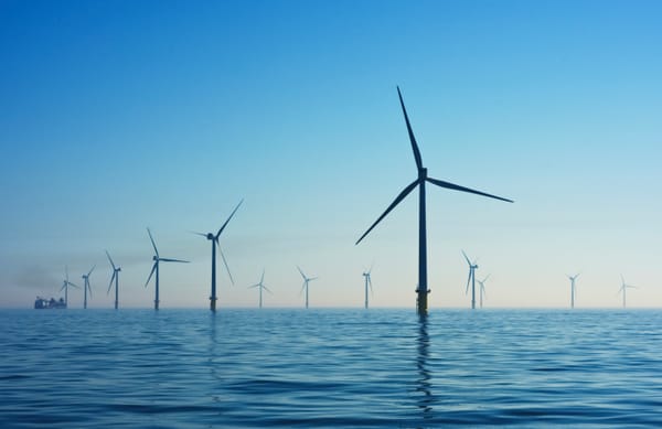 Offshore wind farm development in Australia and potential environmental impacts