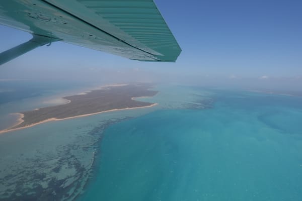 Marine Heatwave Drives Long-Term Fragmentation of Shark Bay Seagrass Meadows
